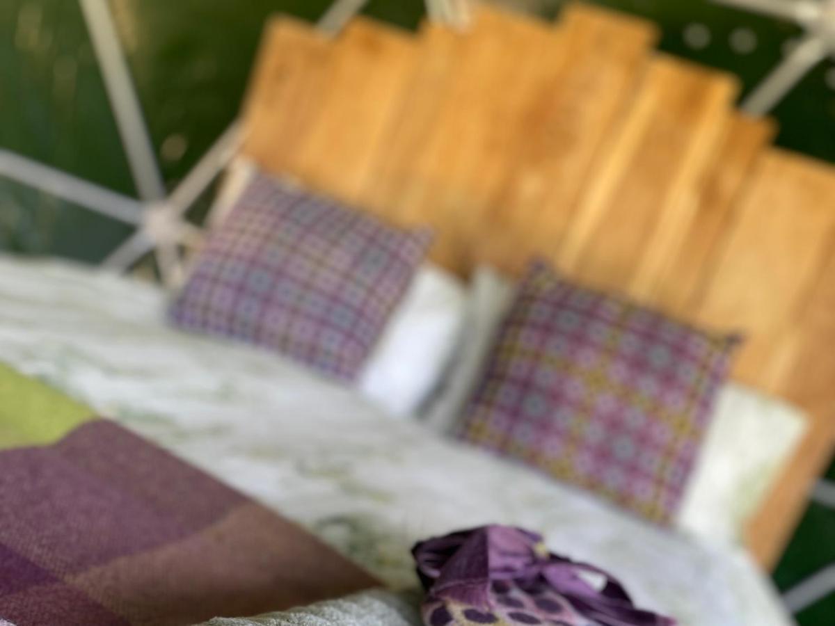 ホテル Geodesic Dome Glamping スランイドロイス エクステリア 写真